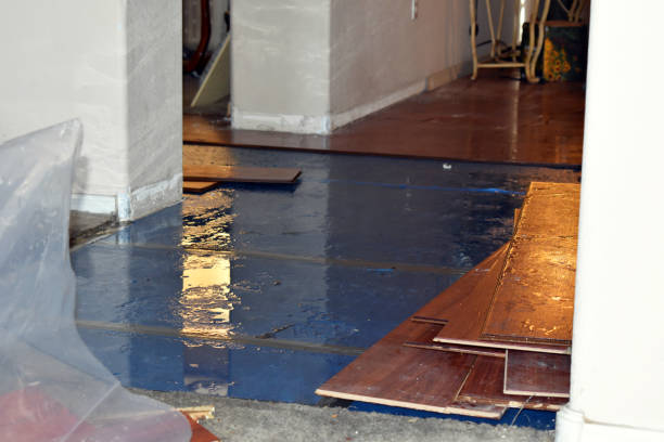 Professional Crawl Space Water Removal technician working in Allston, MA